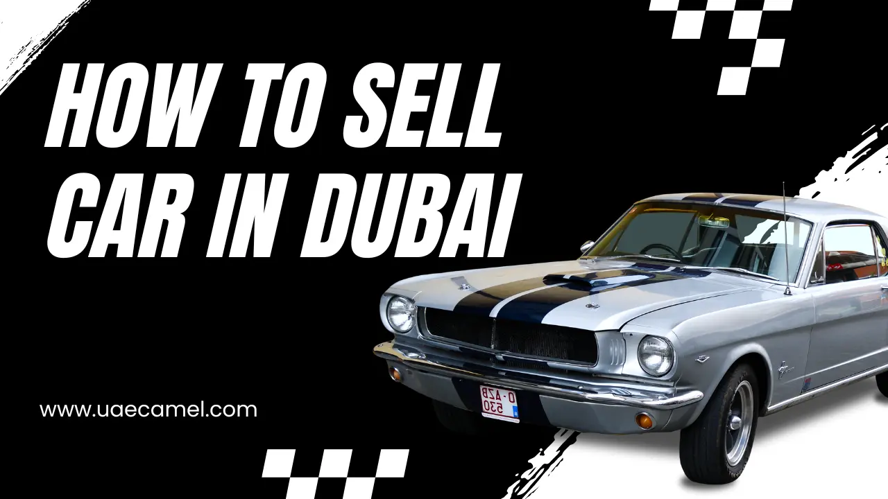 How To Sell Car In Dubai Uae Camel