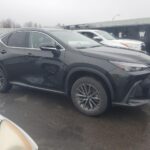 2022 Lexus NX 350h